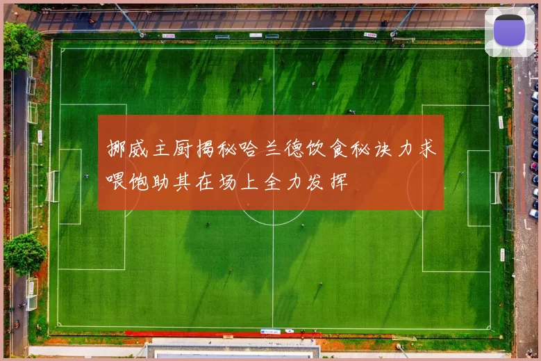 挪威主厨揭秘哈兰德饮食秘诀力求喂饱助其在场上全力发挥